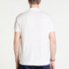 Knitted Polo in Cream Superfine Cotton